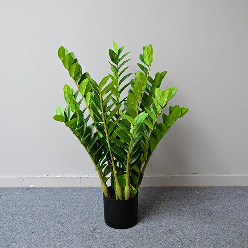 Artificial ficus and zamioculcas plants for indoor decoration - vue 5 sur 14