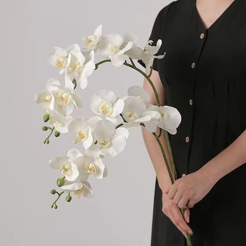 Phalaenopsis artificial plants 3d real touch decorative orchid - vue 2 sur 10