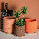 Nordic style cement flower pot with decorative tray
