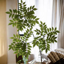 Artificial ficus plant in plastic for indoor decoration