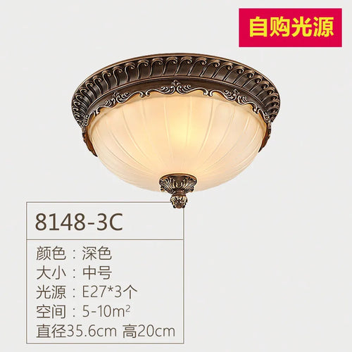 Retro industrial resin ceiling light for indoor lighting - vue 9 sur 8