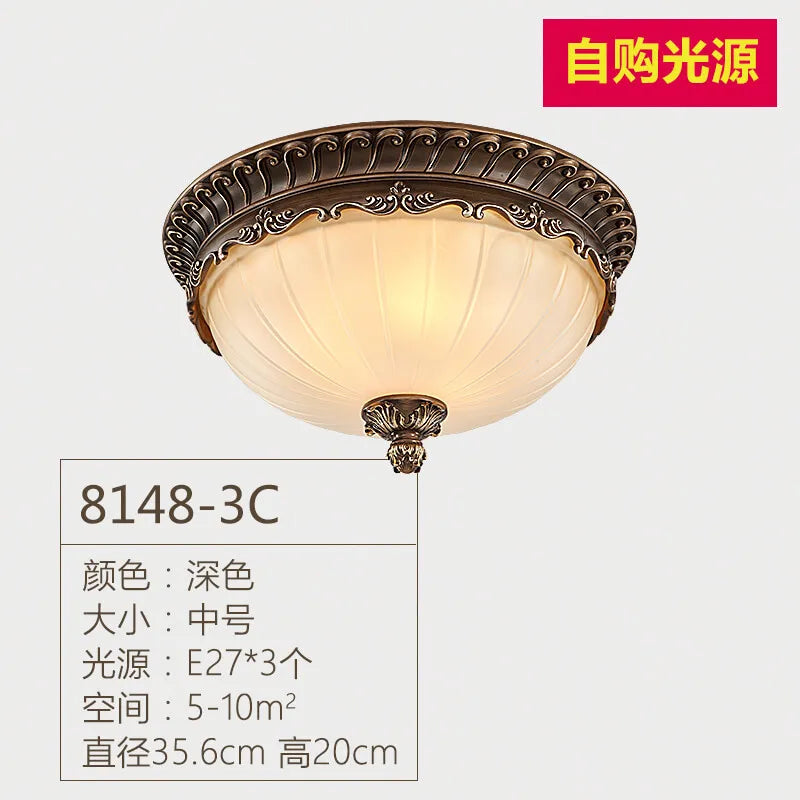 Retro industrial resin ceiling light for indoor lighting - vue 8 sur 8