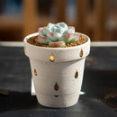 Nordic style ceramic succulent flower pot