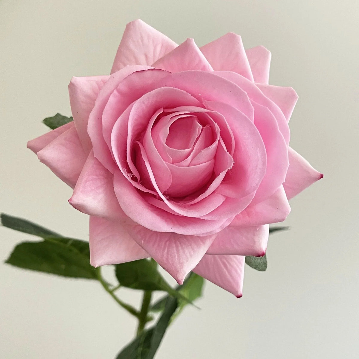 lot de 5 fleurs artificielles hydratantes pour mariage et saint-valentin - vue 14 sur 15