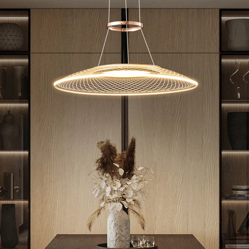 Double pendant light for kitchen and restaurant - vue 4 sur 11