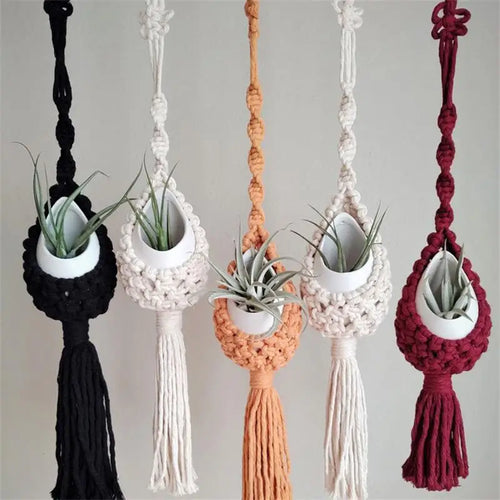macrame wall hanger for air plants bohemian style - vue 3 sur 10