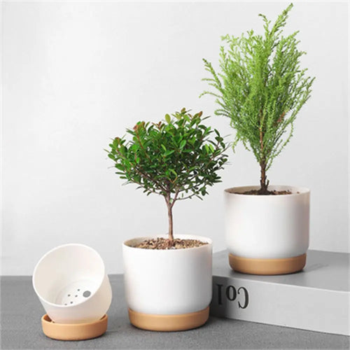 Double layer automatic flower pot for succulent plants - vue 3 sur 8