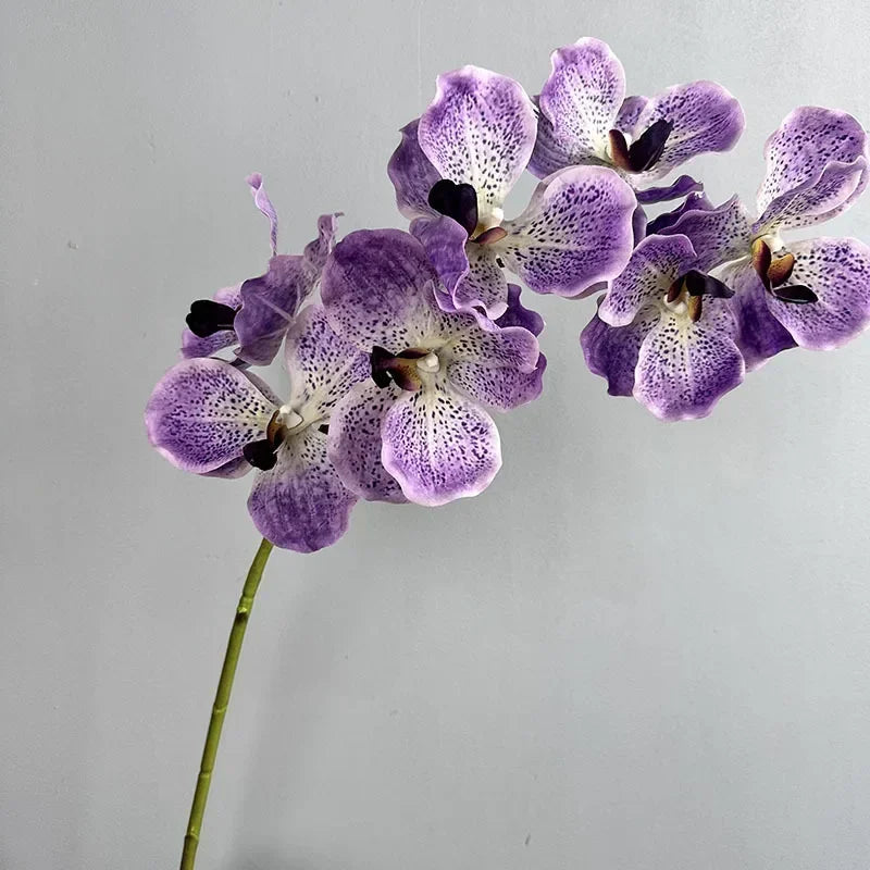 Set of 2 artificial vanda orchids for indoor decoration - vue 11 sur 12