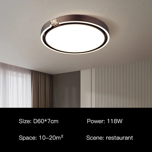 Modern luxury ring ceiling light for interiors