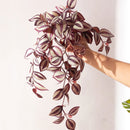 Artificial hanging scindapsus aureus plant for indoor and outdoor decoration