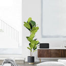 Artificial ficus branches with large leaves for outdoor decoration