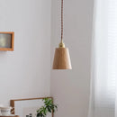 Modern wood and brass LED loft pendant light