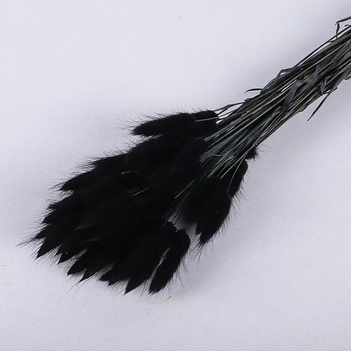 Dried bunny tail grass bouquet for festive decorations - vue 12 sur 23
