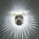 Creative LED wall light owl eagle decorative lamp for home