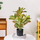 Artificial ficus tree for indoor or outdoor decoration