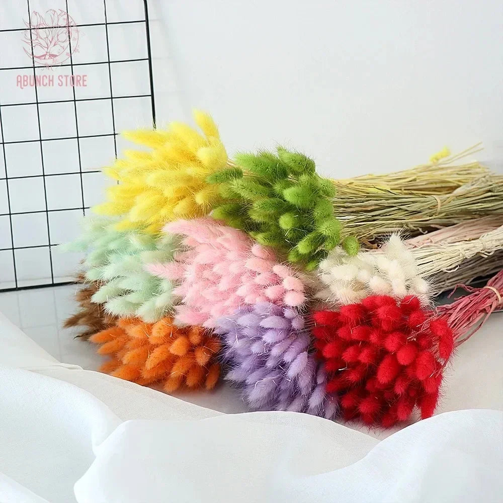 Dried bunny tail grass bouquet for festive decorations - vue 5 sur 23