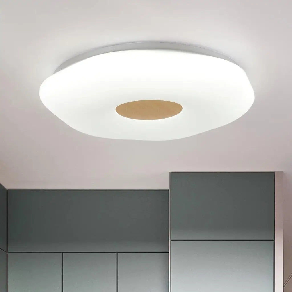 Vintage LED ceiling lights for retro industrial home décor