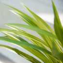 Artificial chlorophytum plants for indoor and outdoor decoration