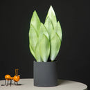 Artificial tropical plant with orchid leaves for indoor decoration