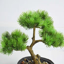 Chinese-style potted plant for indoor decoration