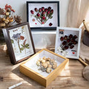 3d frame for dried flowers natural desk ornament