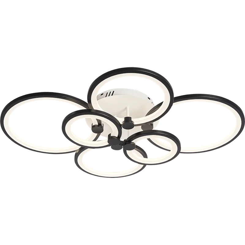 Hot Modern LED Chandelier For Home Indoor Lighting, Modern Chandelier Ceiling For Bedroom, Living Room Decoration, Lighting - vue 6 sur 14