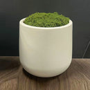 plastic flower pot for modern and elegant decoration