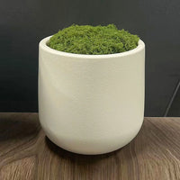 plastic flower pot for modern and elegant decoration
