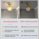 Acrylic LED ceiling light luxury indoor stepless dimming