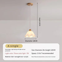 Nordic retro Japanese style decorative LED flower ceiling light 2023