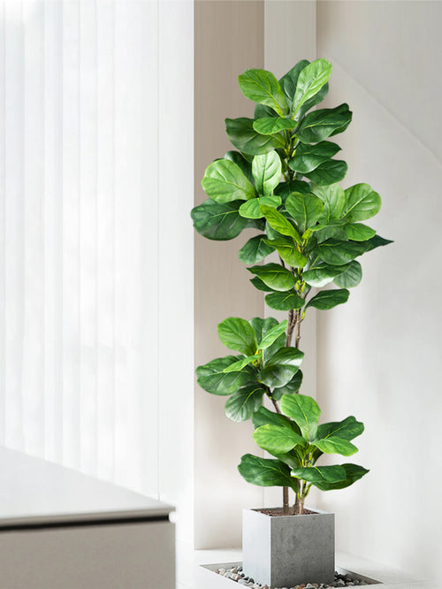 Large artificial ficus tree for indoor and outdoor decoration - vue 2 sur 10