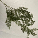Artificial rattan fern for indoor and outdoor decoration