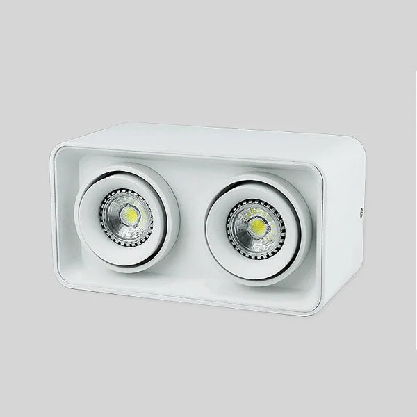 Recessed LED spotlight with replaceable bulb and adjustable angle