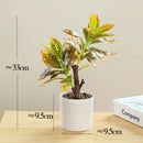 Artificial potted bamboo and monstera plant for home and office decor