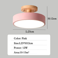 Modern creative LED ceiling light for interior decoration