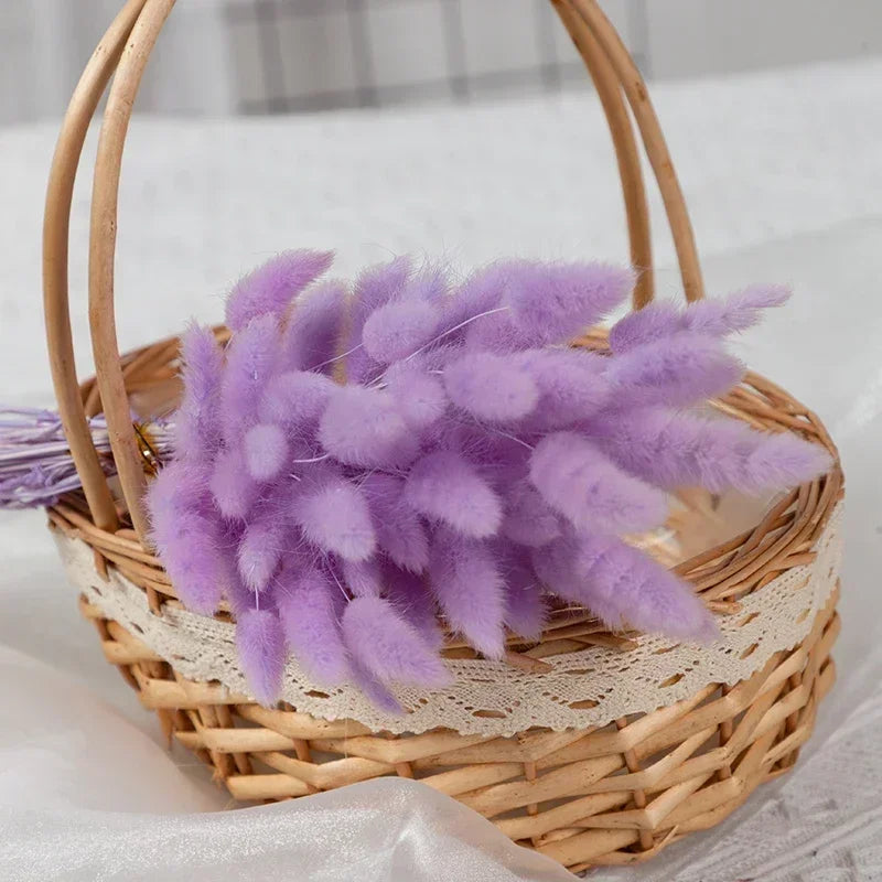 Dried bunny tail grass bouquet for festive decorations - vue 23 sur 23