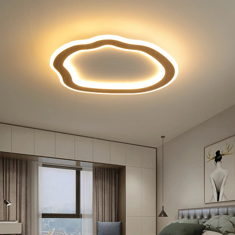 Simple modern Nordic LED ceiling lights
