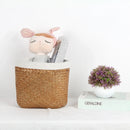 seagrass hanging basket for storage and planting