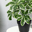 Artificial palm plants for indoor and outdoor decoration
