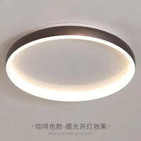 Modern ceiling light with elegant finish for all rooms