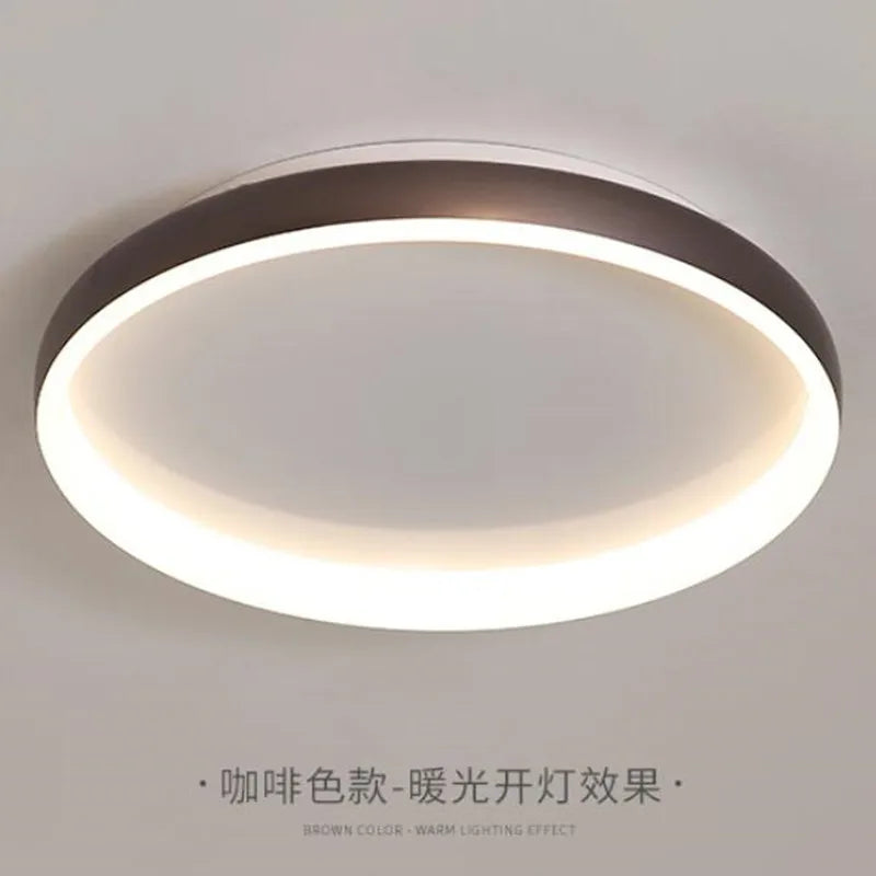 Modern ceiling light with elegant finish for all rooms