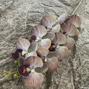 Artificial phalaenopsis decorative orchid for weddings and gardens