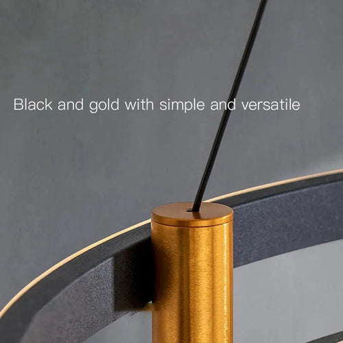 Nordic decorative LED ring chandelier for home - vue 6 sur 7