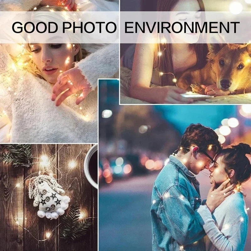 Copper wire LED string lights for festive decorations - vue 3 sur 14