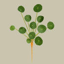 Artificial green lotus leaf plant for indoor and outdoor decoration