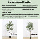 Realistic Artificial Olive Tree, Lifelike Faux Olive Plant for Home, Office, Garden Decor