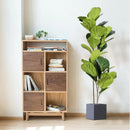 Artificial ficus branches with large leaves for outdoor decoration