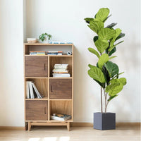Artificial ficus branches with large leaves for outdoor decoration
