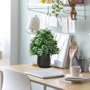Artificial eucalyptus tree for indoor and outdoor decoration