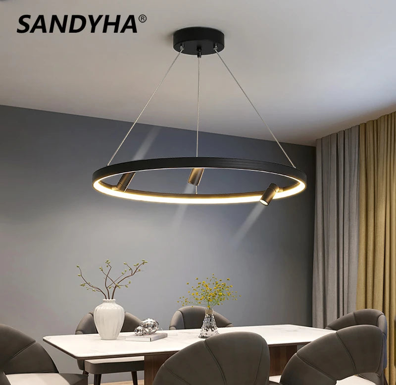 Simple and modern LED chandelier with black ring pendant